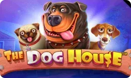 Fortunica – The Dog House